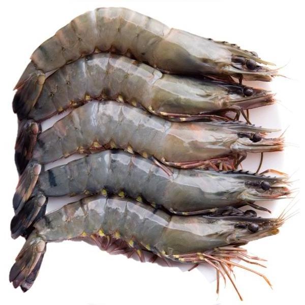 Black Tiger Shrimp Fresh 100% High Quality Export Oriented Frozen Shrimp from Bangladesh 150gm Kg Flavored from BD 10TONS