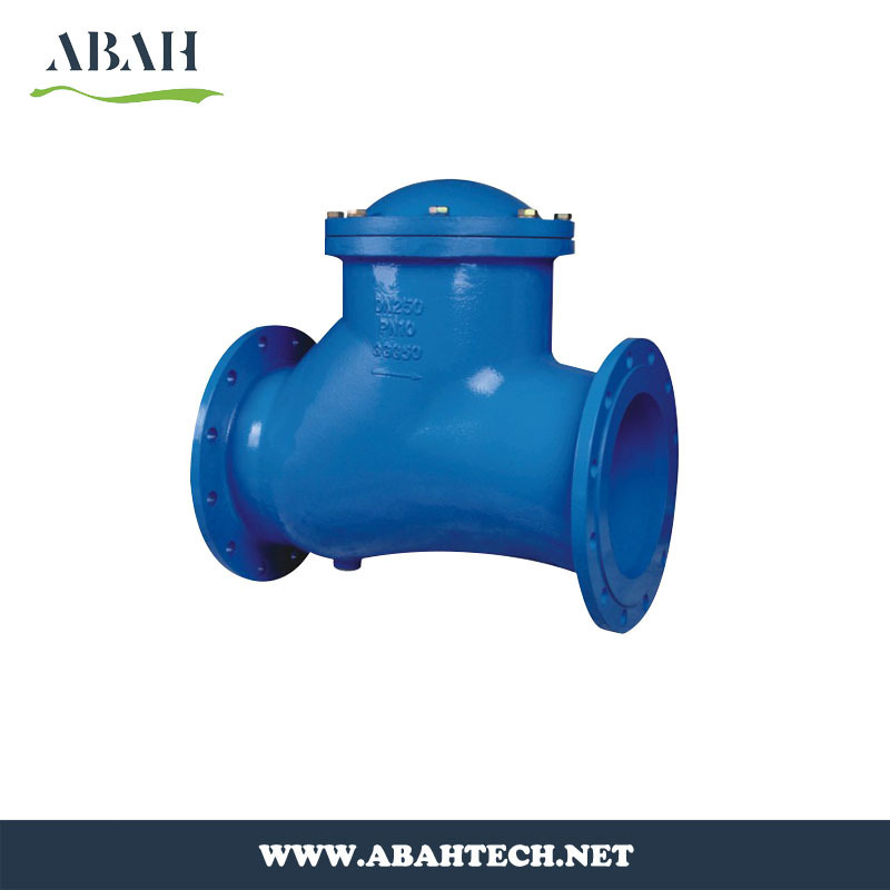 Normal Pressure Check Valve Lift Swing Valve DN40 to DN1200 Size for Sale