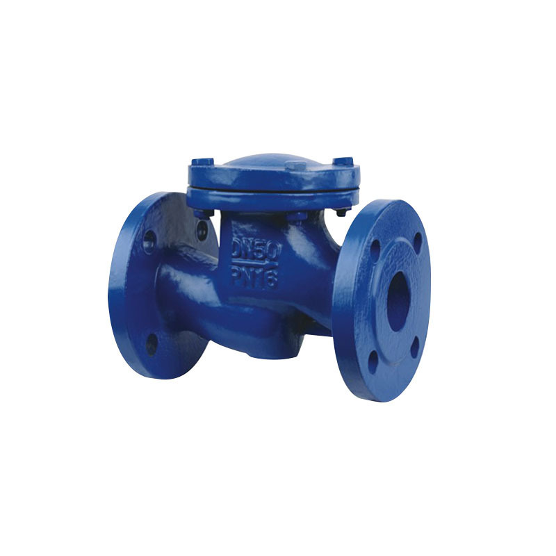 Normal Pressure Check Valve Lift Swing Valve DN40 to DN1200 Size for Sale