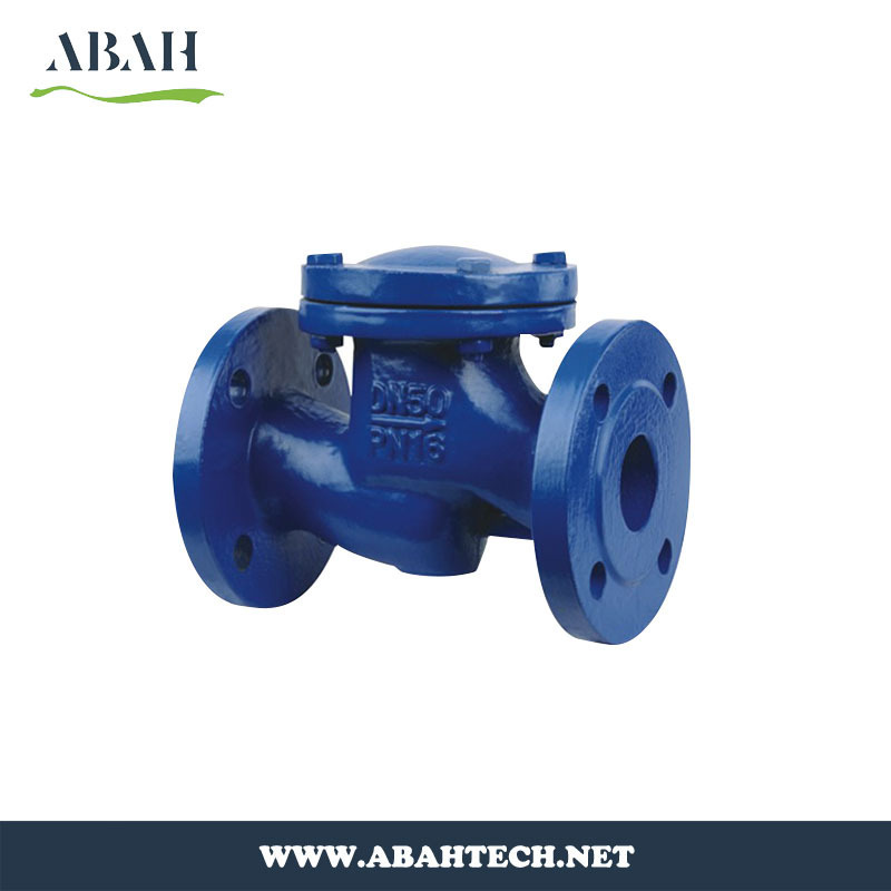 Normal Pressure Check Valve Lift Swing Valve DN40 to DN1200 Size for Sale