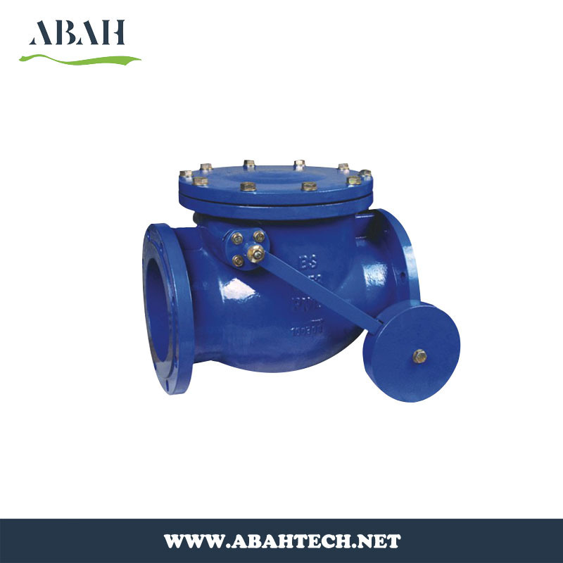 Normal Pressure Check Valve Lift Swing Valve DN40 to DN1200 Size for Sale