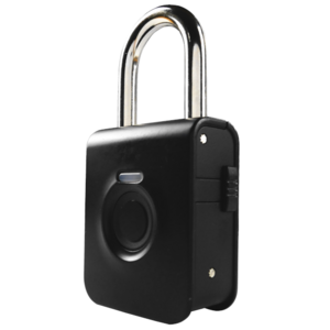 Durable Recognition Intelligent Lock: No-Key, Theft-Resistant, and Cybernetic for Protected Journeys