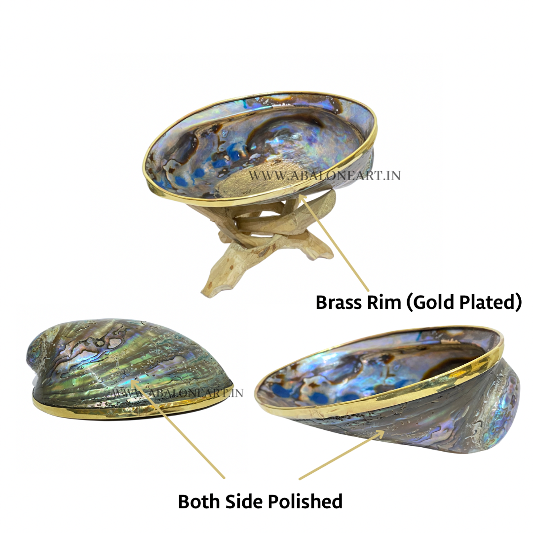 Abalone Shell With Wooden Stand Incense Holder and Sage Smudge Bowl for Cleansing at Wholesale Price