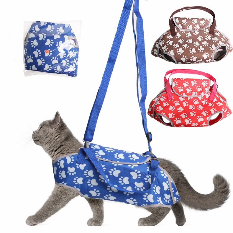 Custom Design Eco-friendly Oxford Pet Cat Walking Bag Foldable Comfortable Mesh Puppy Carrying Bags for Medium Dog