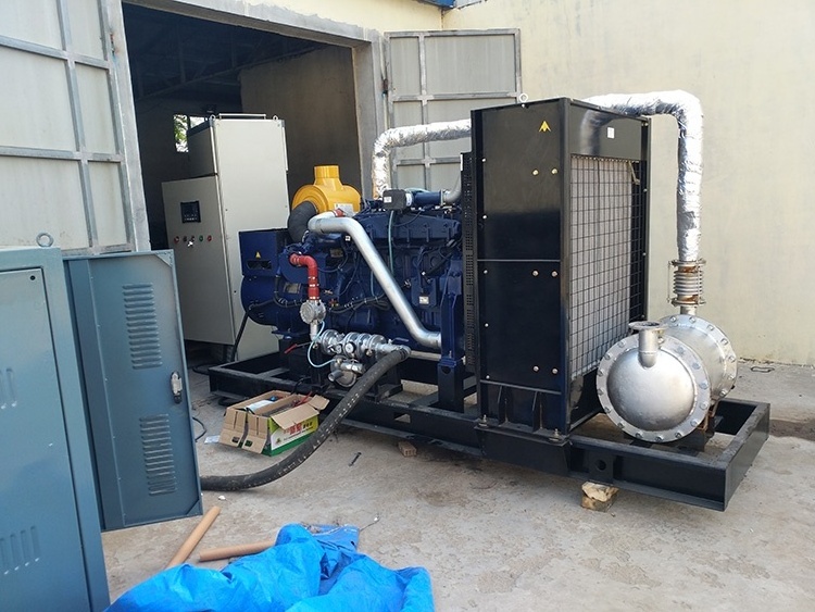 High Efficiency 10KW Natural Airbag Syngas Gas Generator