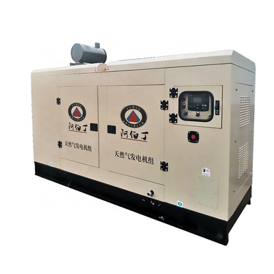 low 30kw 50kw 80kw 100kw 120kw 125kva 150kw 200kw natural gas biogas CNG LNG methan generator with CHP and Biogas purification