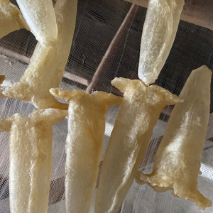 INEXPENSIVE PRICE VIETNAM FISH MAW - HIGH QUALITY PRODUCT