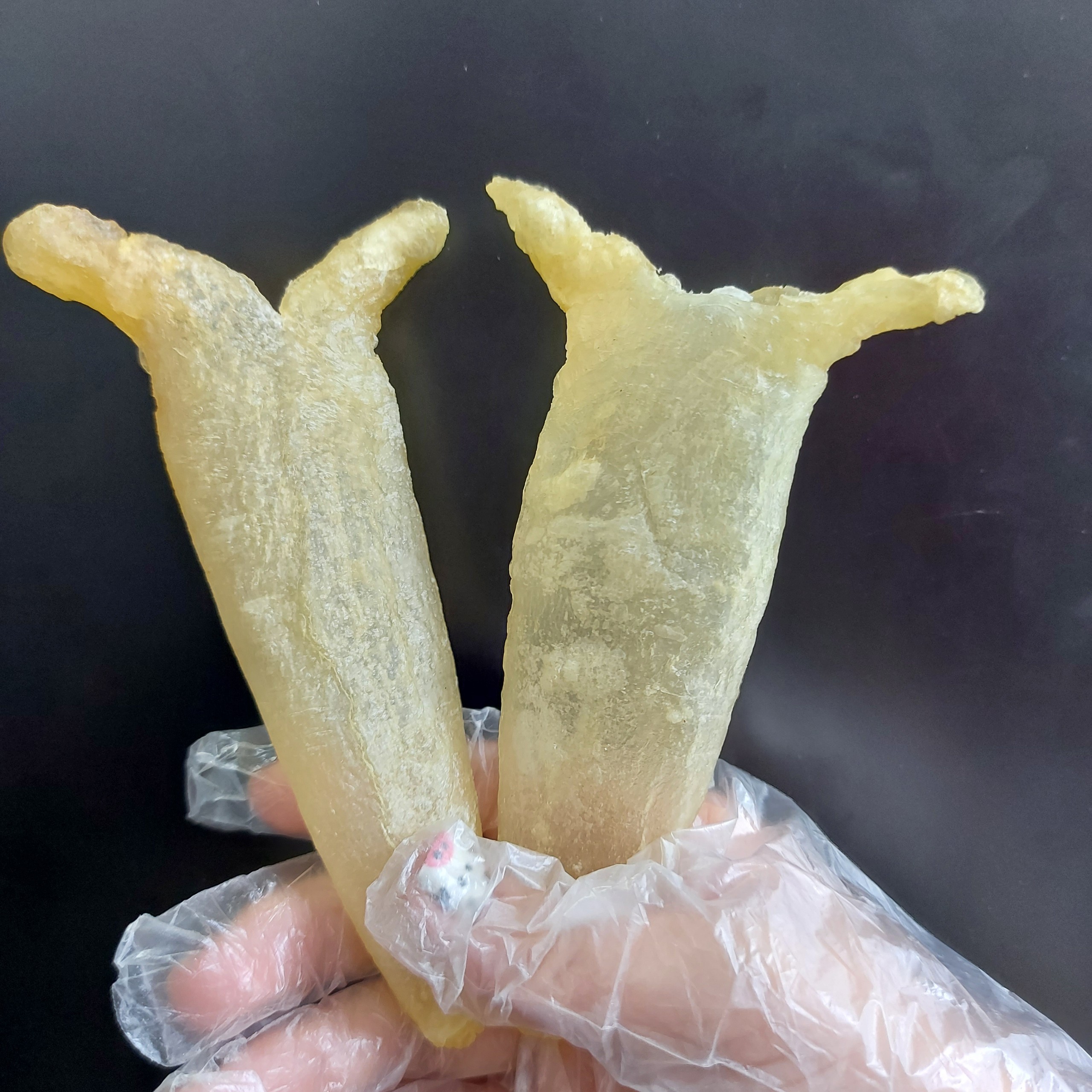 INEXPENSIVE PRICE VIETNAM FISH MAW - HIGH QUALITY PRODUCT