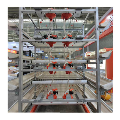 Chinese Factory Produces Broiler Cage System Chicken Broiler Cages For 1000 Birds