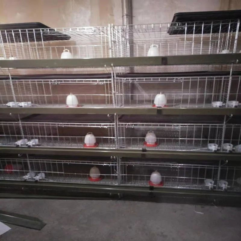 Factory Wholesale Baby Chick Cage H Type 4 Layers Chicks Cages