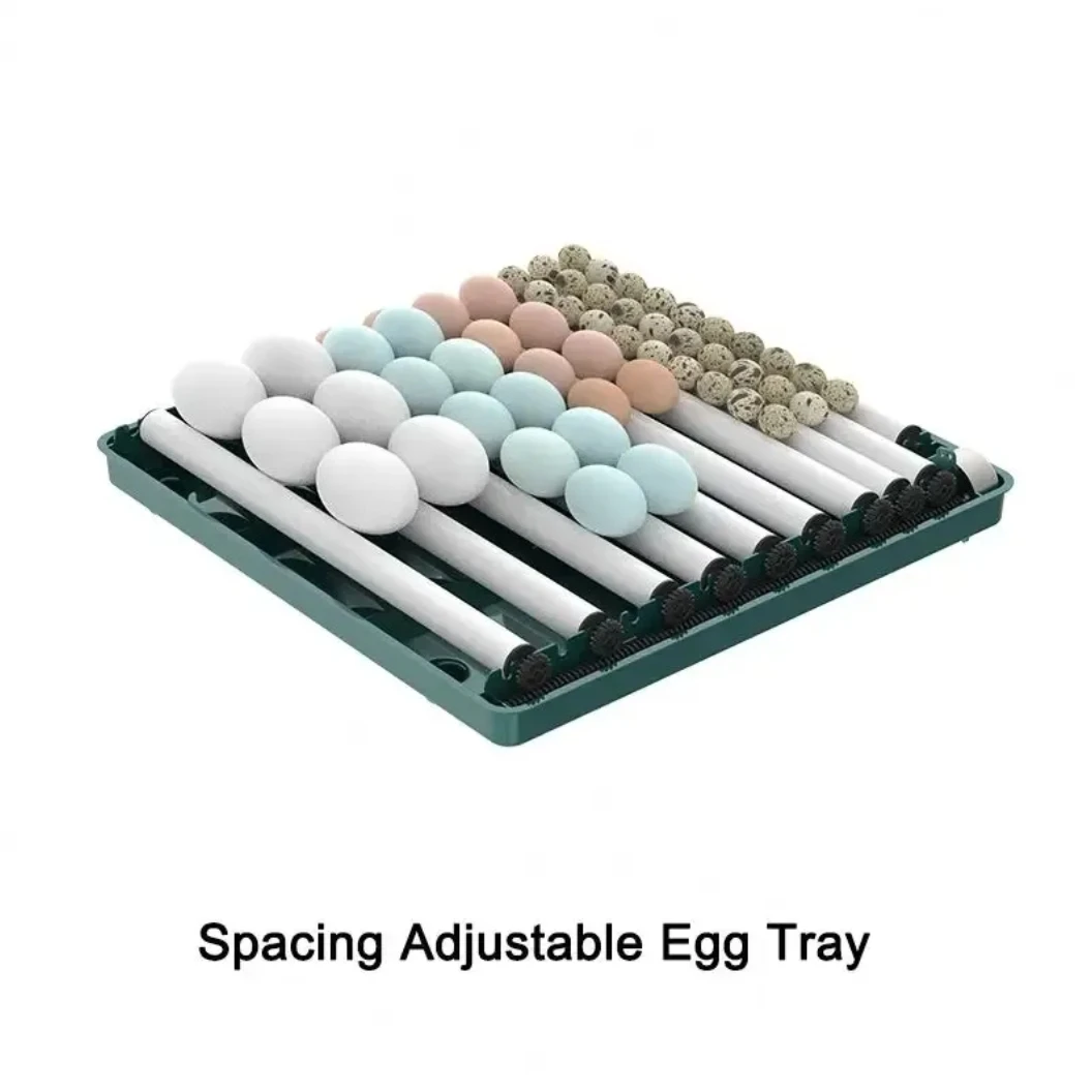 Best Quality Incubators Hatching Eggs High Hatching Rate 130 Egg Capacity