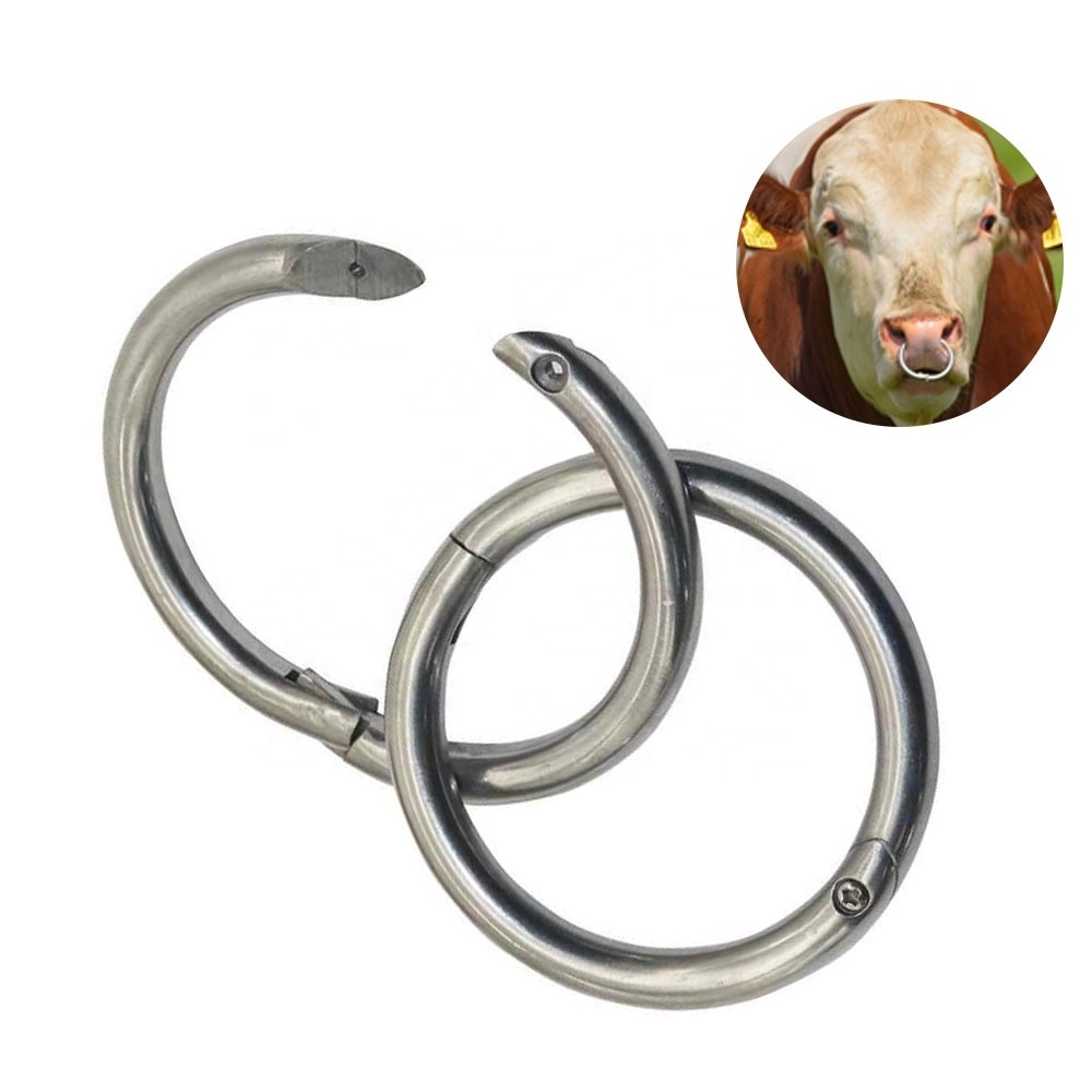 Best Quality Stainless Steel Bull Nose Ring / Sizes 50mm to 70mm Live Stock Supplies