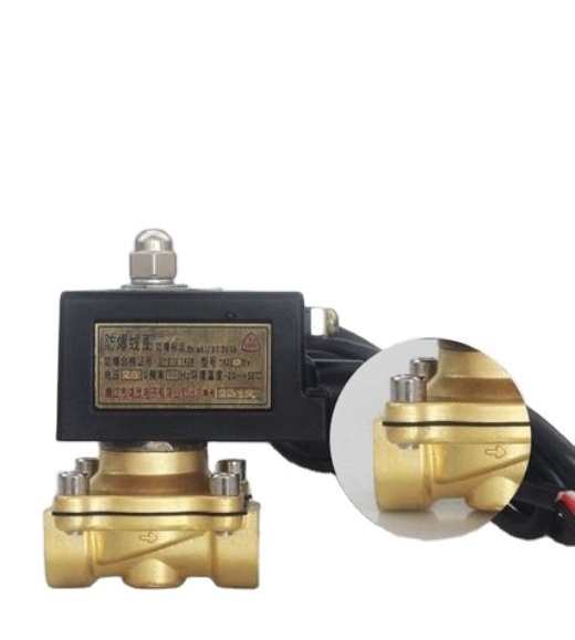 Popular 3/4'' Normally Close Explosion Proof Solenoid Valve 220V 24V Brass Pilot Acting Solenoid Valve with Explosion-proof Coil