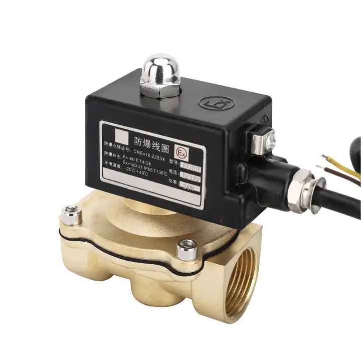 Popular 3/4'' Normally Close Explosion Proof Solenoid Valve 220V 24V Brass Pilot Acting Solenoid Valve with Explosion-proof Coil