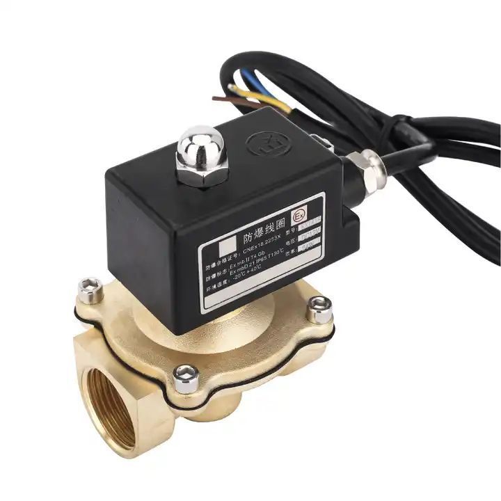 Popular 3/4'' Normally Close Explosion Proof Solenoid Valve 220V 24V Brass Pilot Acting Solenoid Valve with Explosion-proof Coil