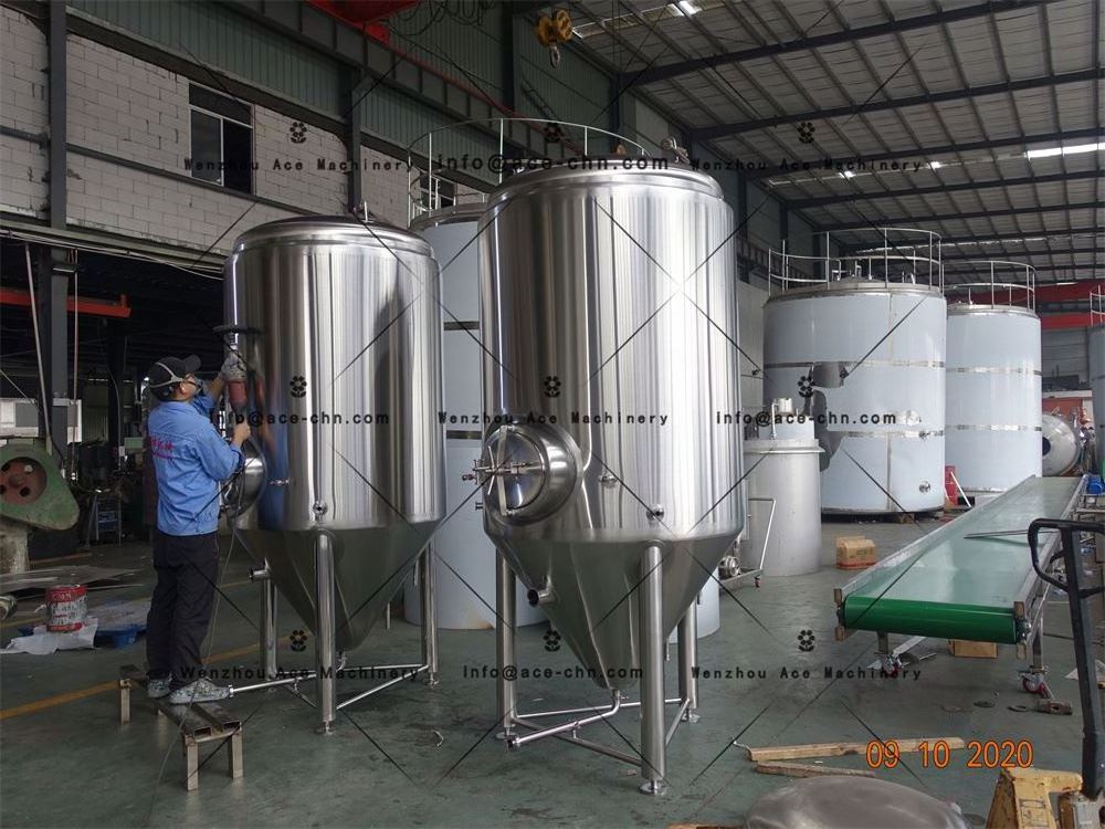 Ace Fermenter Equipment Beer Brewing Machine Homebrew For Factory Price