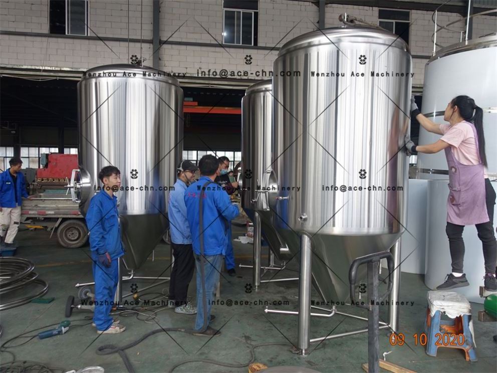 Ace Fermenter Equipment Beer Brewing Machine Homebrew For Factory Price