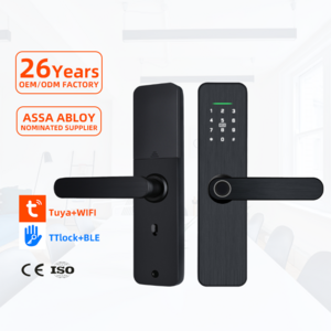 Keyless Entry Smart Door Lock with Fingerprint Modern Keyless Smart Locks