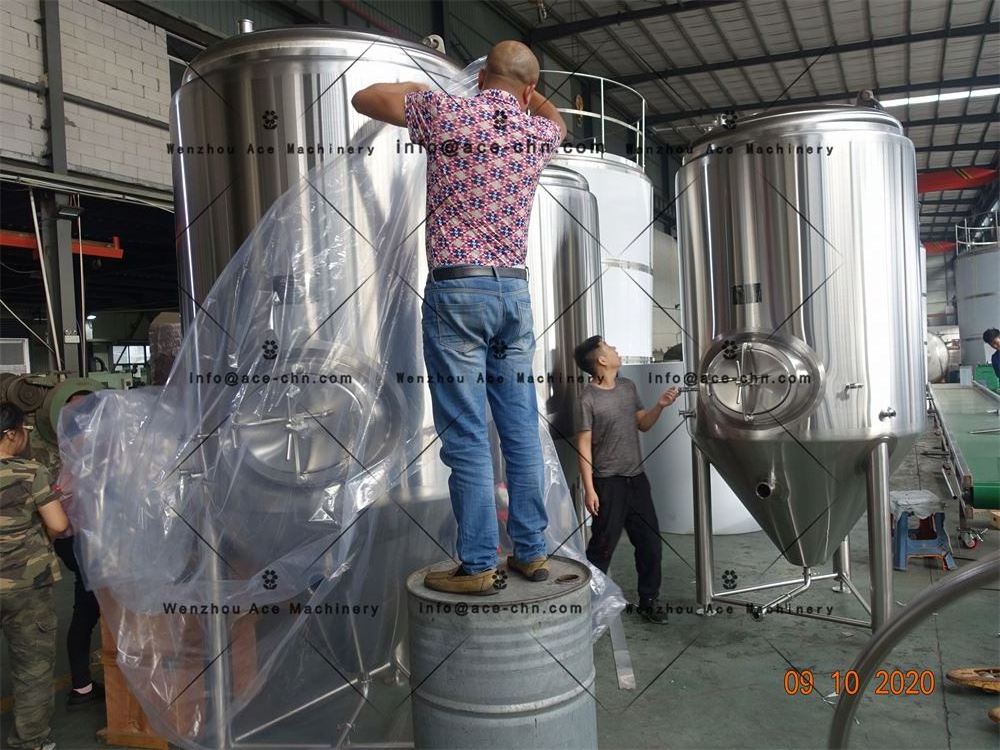 Ace Mechanical Mixing Stainless Steel Fermenter For Sale