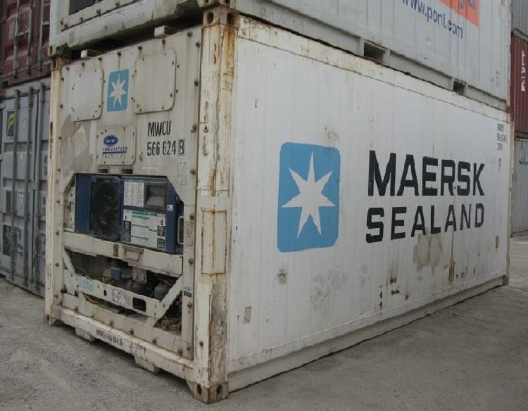 Minus 18 Degree USED Refrigerated Freezer 20 ft Second Hand Reefer Container Used 20ft for Sale in dubai