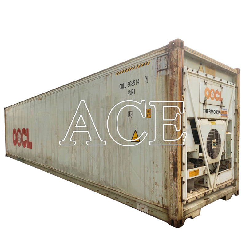 20 foot Refrigerated Used Reefer Cargo Container 20ft 40ft for sale