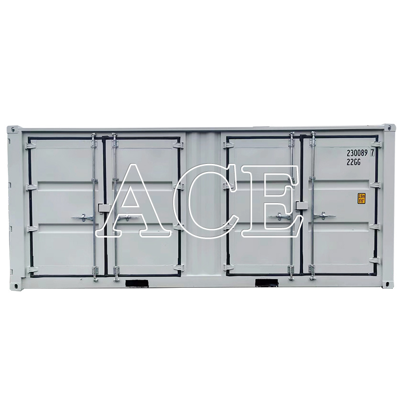 Multi Side Doors Opening 20 Feet Length 20ft 20 foot Open Side Dry Cargo Shipping Container with Side Door Price