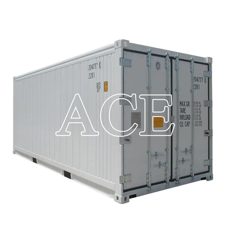 US Brand Freezer Thermo King Refrigerated Cooler 20 feet 6 Meter Length 20ft Reefer Container for Sale