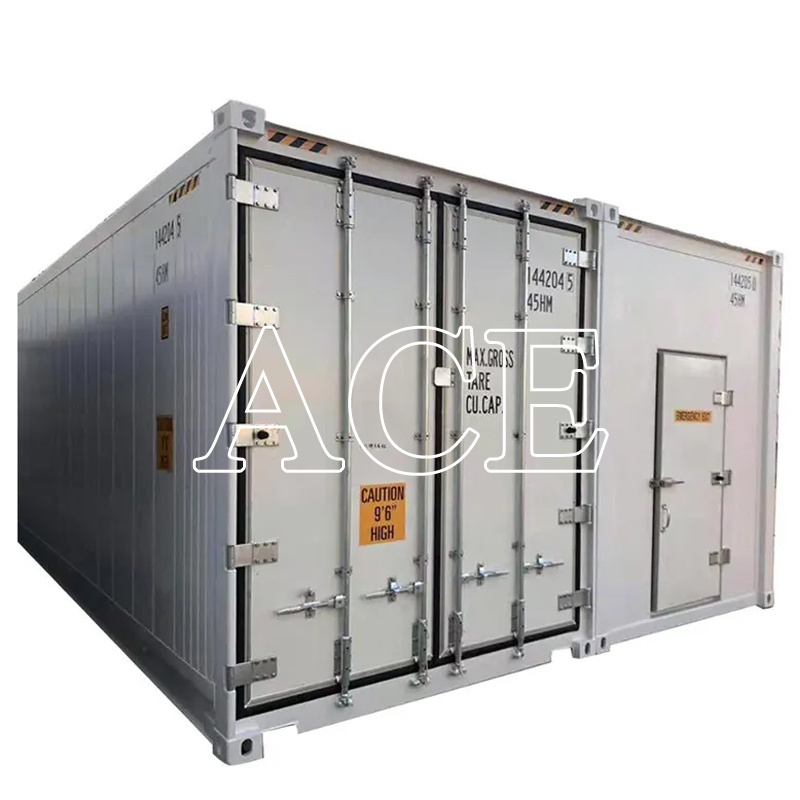 Movable Combined Freezer 20ft 40ft Refrigerator Cold Storage Room Container for Sale