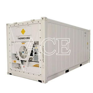 US Brand Freezer Thermo King Refrigerated Cooler 20 feet 6 Meter Length 20ft Reefer Container for Sale