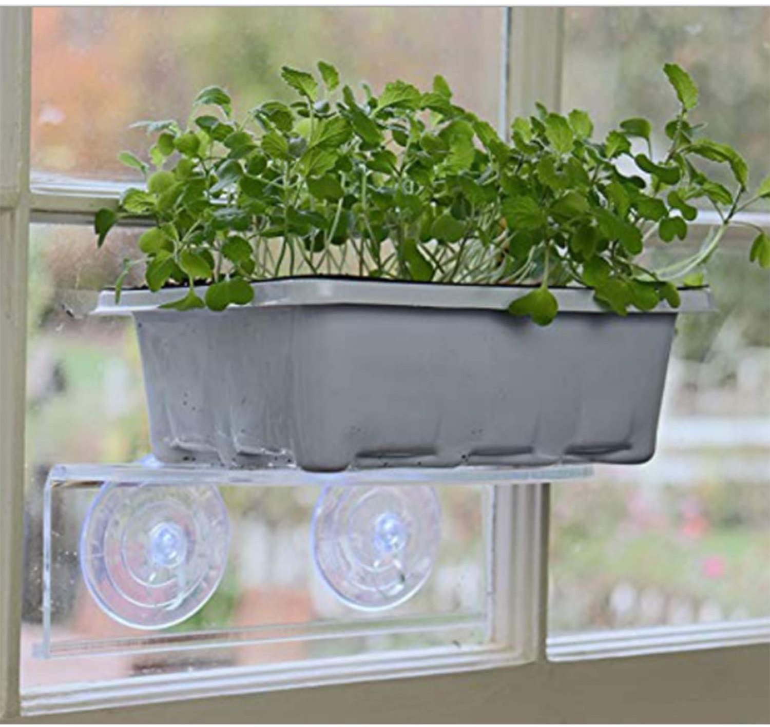 Plastic Window Shelves  Indoor Transparent  Ledge Suction Cup Acrylic Plant Window Shelf