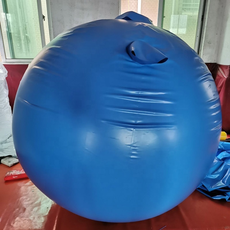 New Arrival Blueberry Suit Inflatable Game Blueberry Inflation Suit