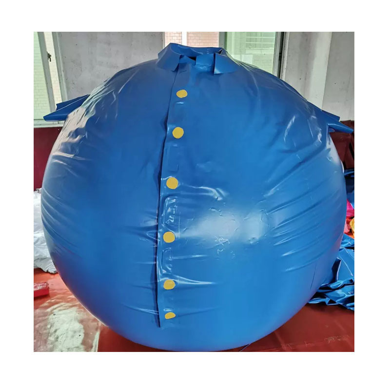 New Arrival Blueberry Suit Inflatable Game Blueberry Inflation Suit