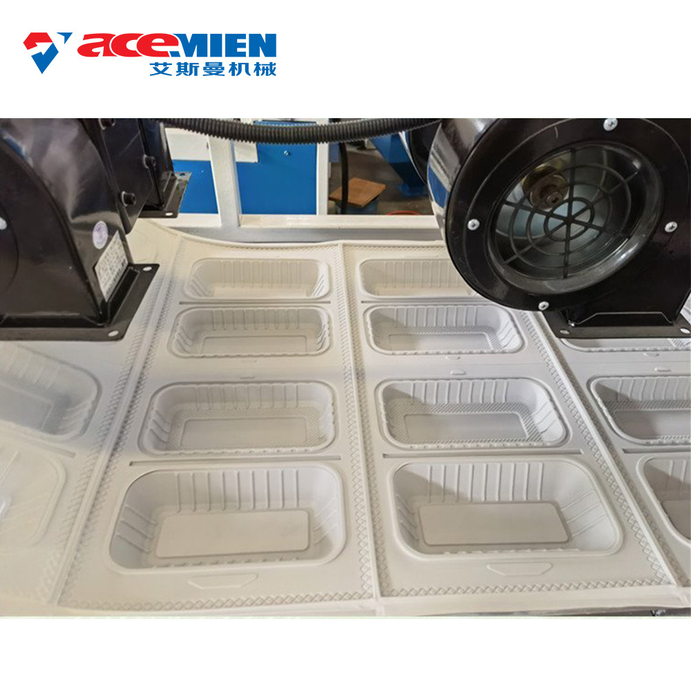 Hot Sale Disposable Biodegradable Food Box Food Container Lunch Box Thermoforming making Machine