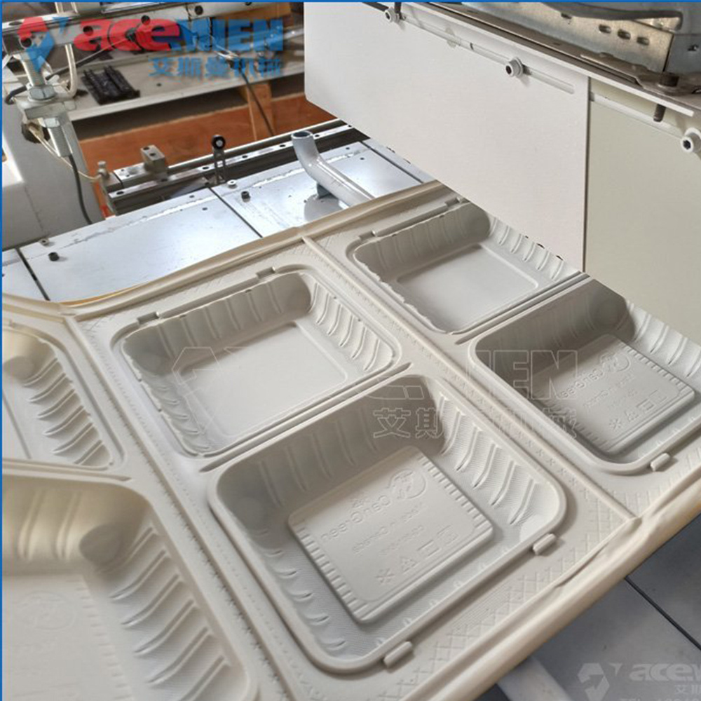 Disposable Plastic PP Clear Takeout Food Box Container Making Automatic Thermoforming Machine