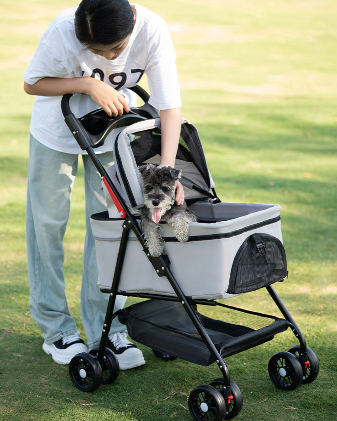 Pet Stroller Carrier Aluminum Tube Pull Rod Pets Cart For Dogs Detachable Car Bag Travel Folding Transportation Car &Raincover