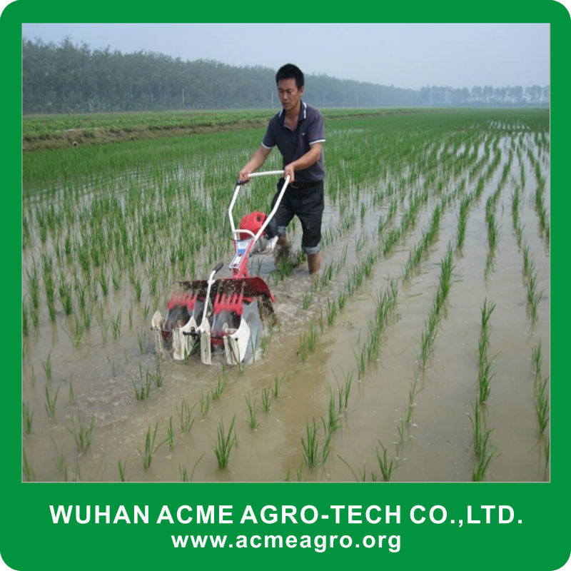 Hot Sale 2 Row Mini Power Tiller Paddy Field Rice Weeder