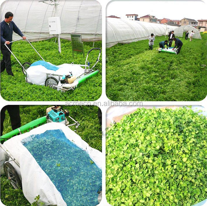 One man operate lavender flower harvester for sale