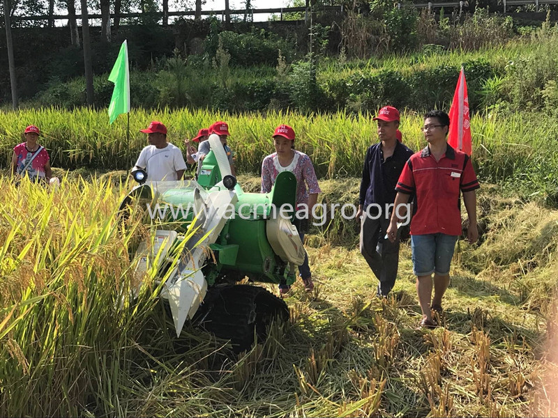 brand model 4LZ-0.6 mini rice combine harvester