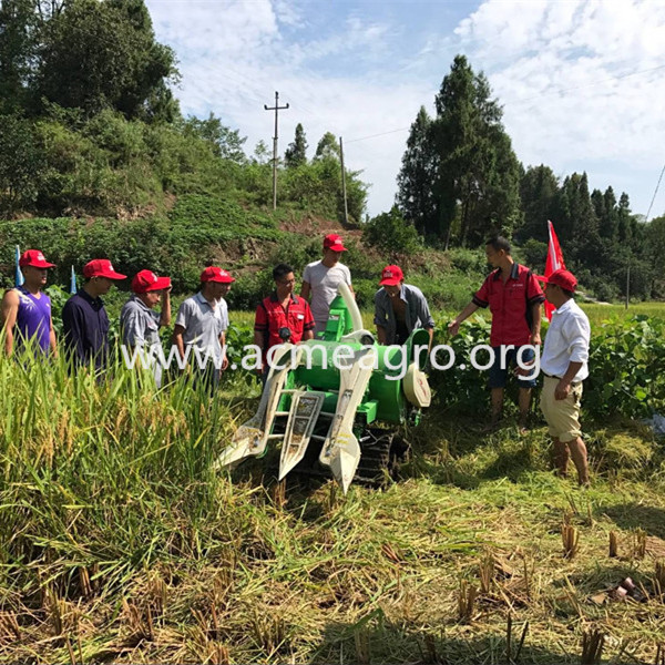 Low price sale big garlic harvester peanut harvesting machine