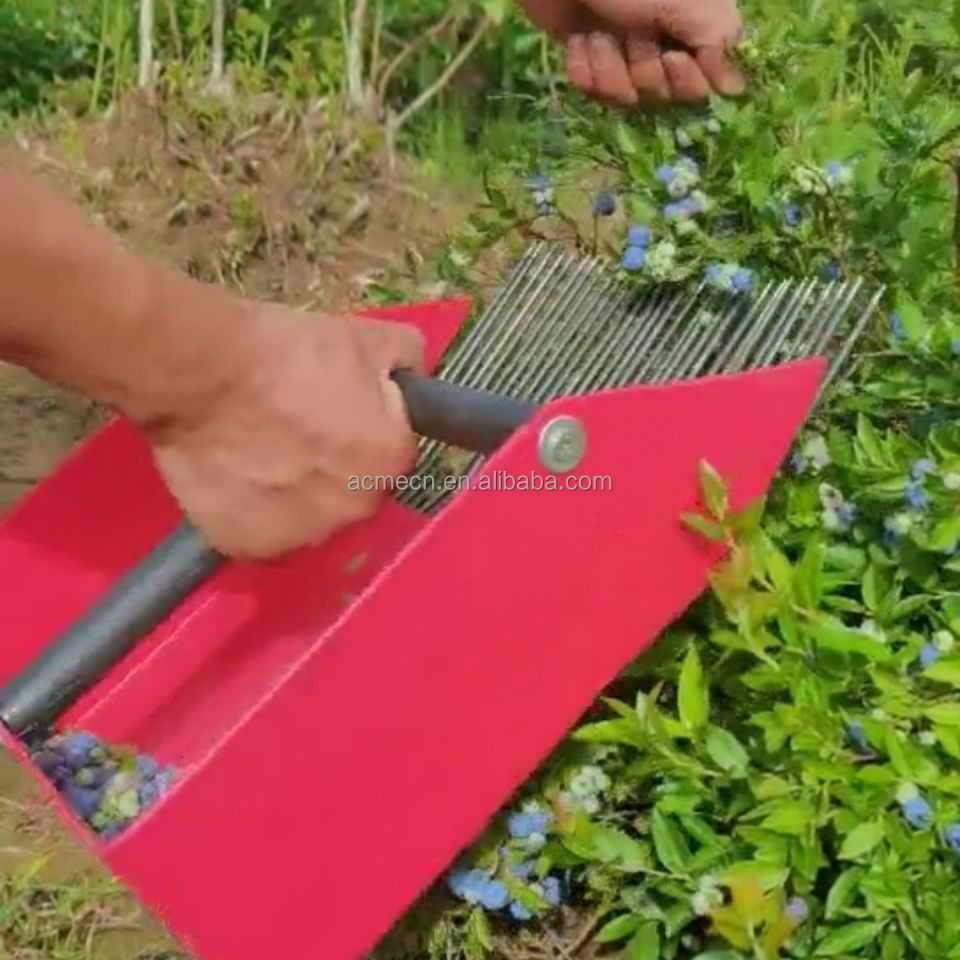 Blueberry harvester one man operate blueberry picker stainless steel harvest rake