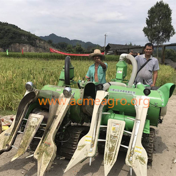 Low price sale big garlic harvester peanut harvesting machine