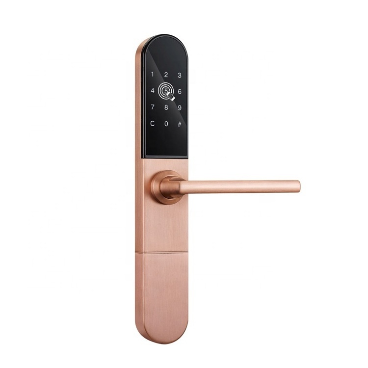 Smart Door Lock With TTlock Electronic Rfid Digital Code Aluminum Sliding Glass Hook Door Lock