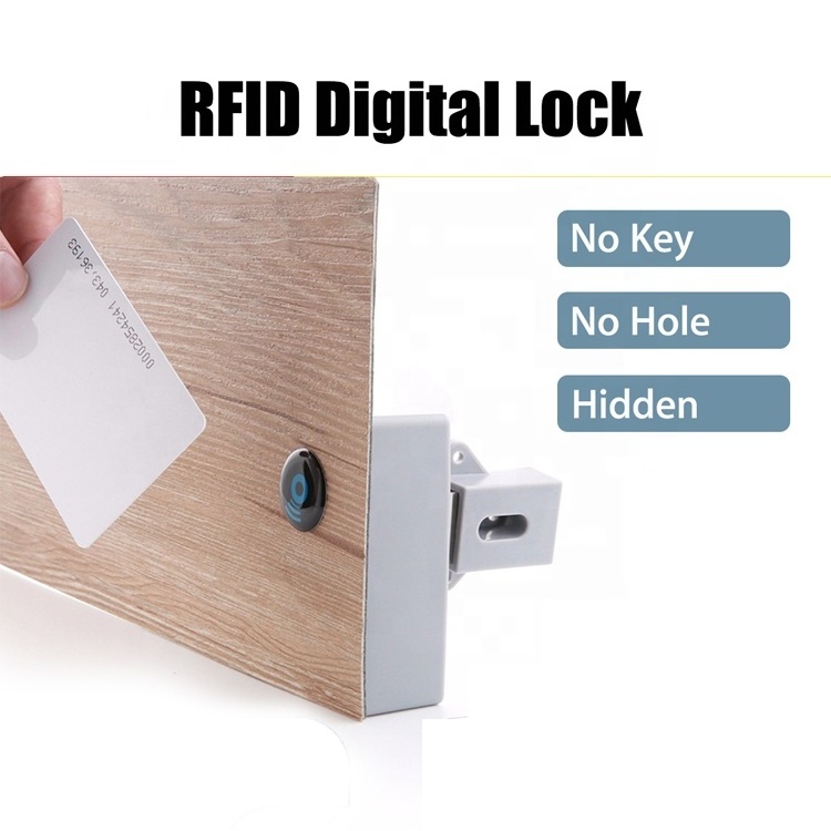 Top Sale Concealed ID Card Induction Smart Mini Locker Lock Suitable For All Kinds of Cabinets