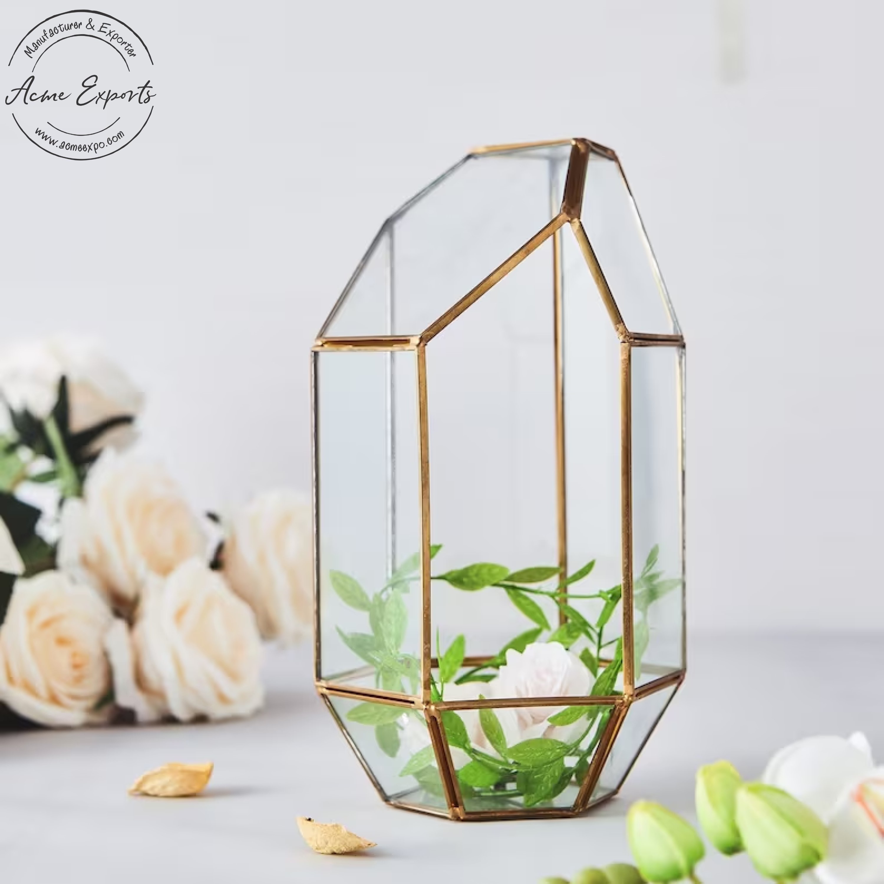 Best Price Tall Irregular Gold Glass Succulent Hanging Terrarium Planter with Iron Frame for Home Garden Office Decoration.