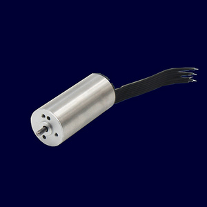 16mm Slotless Brushless Dc Motor Micro Motor 3mm Permanent Magnet Oem Electric Motor Rohs ACP Uva, RC Helicopter 50000 Rpm 48v