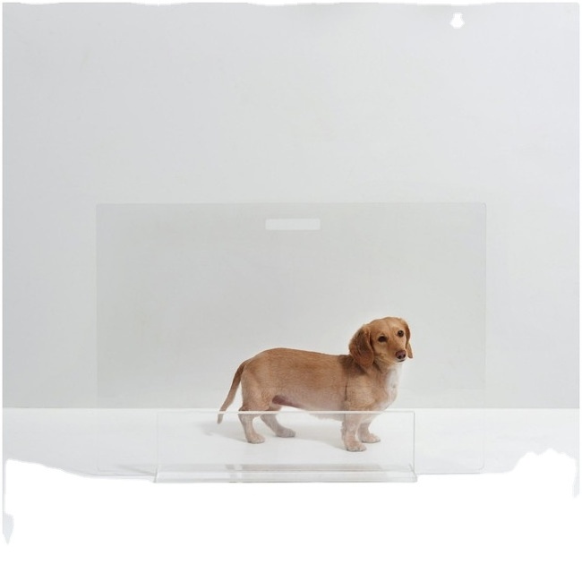 Clear Acrylic Dog Crate Acrylic Animal Gate HOT sales Acrylic Pet Gate