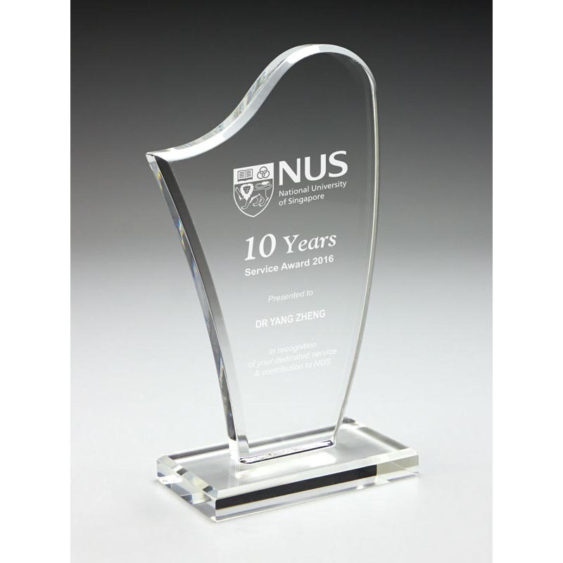 Custom acrylic trophy/acrylic awards /acrylic trophy blanks