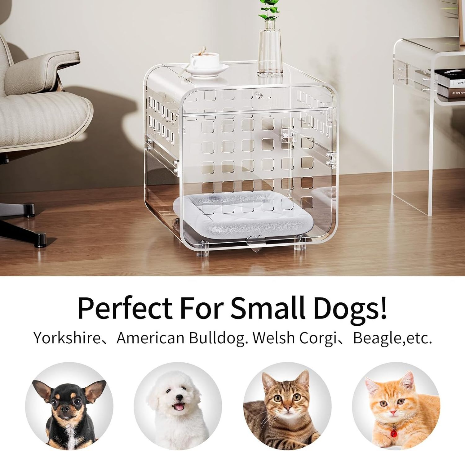 Acrylic Beds For Puppies Kittens Small Crate Cage Clear Acrylic Dog And Cat Bed Custom Acrylic Pet Beds Luxury