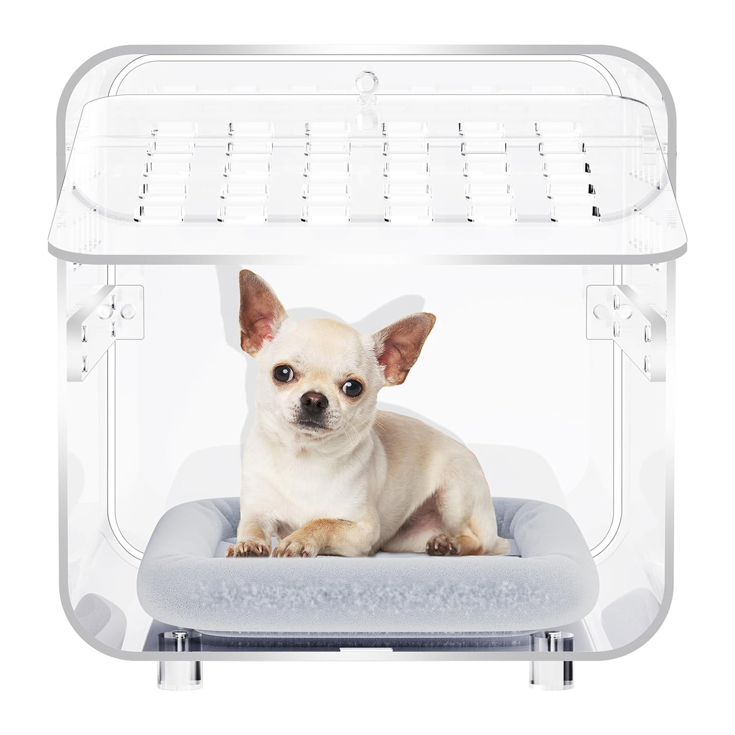 Acrylic Beds For Puppies Kittens Small Crate Cage Clear Acrylic Dog And Cat Bed Custom Acrylic Pet Beds Luxury