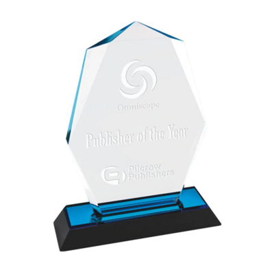 High Quality Acrylic Awards Trophy Plaques Customized Blank Acrylic Award